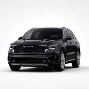 KIA Sorento MQ4 Calibrador de velocímetros