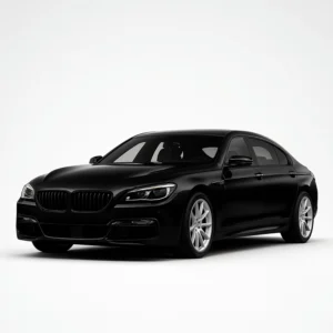 BMW 6ER F12/F13 Calibrador de velocímetros