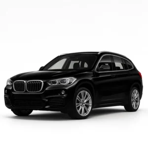 BMW X1 F48 Calibrador de velocímetros
